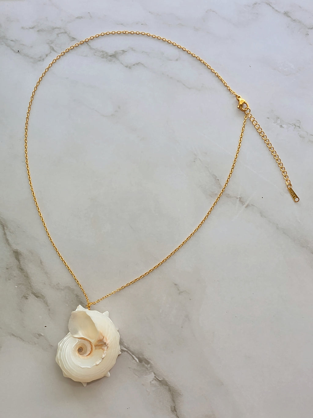 Coastal-inspired real shell pendant necklace for women with a non-tarnish design.