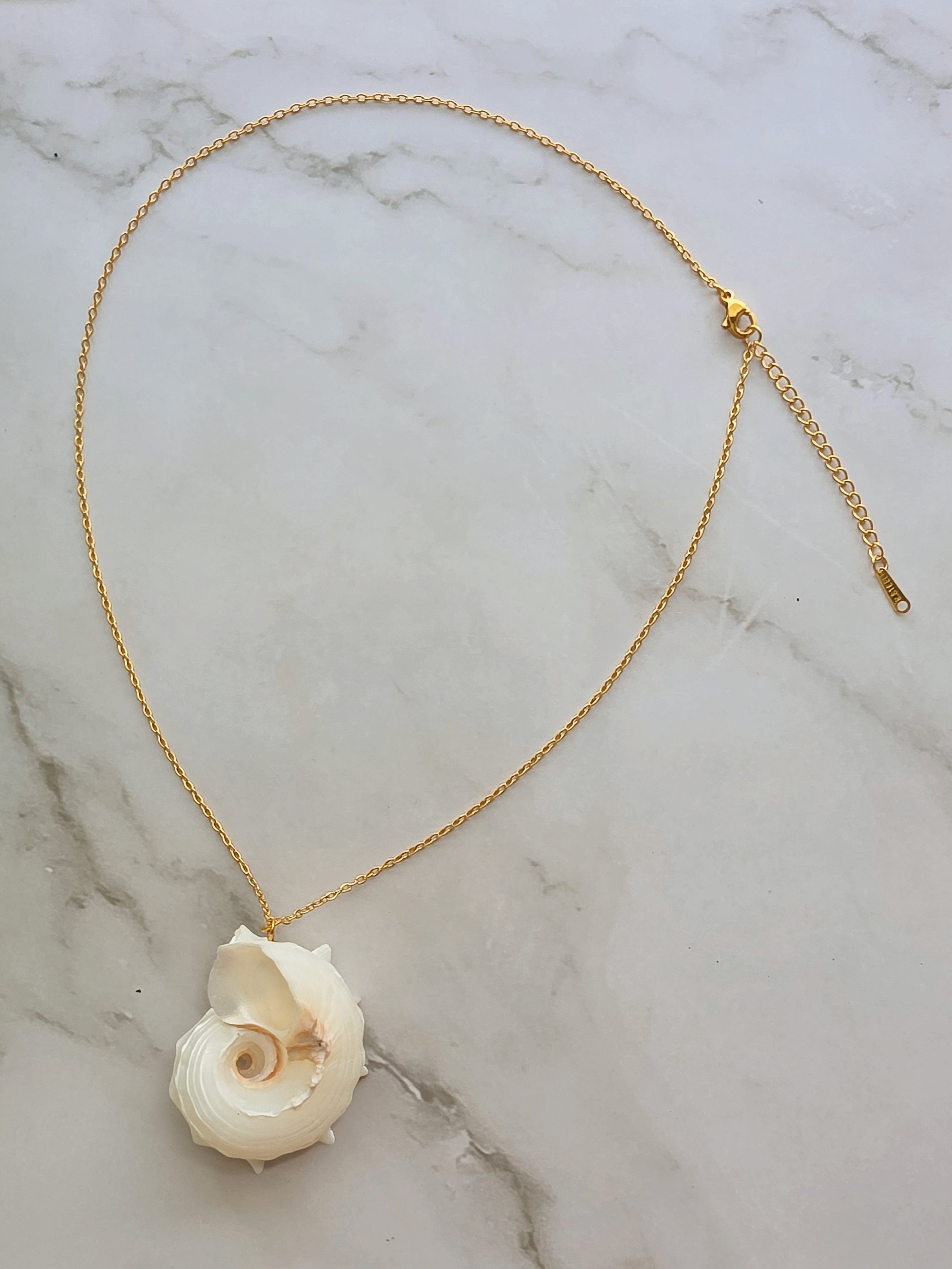 Coastal-inspired real shell pendant necklace for women with a non-tarnish design.