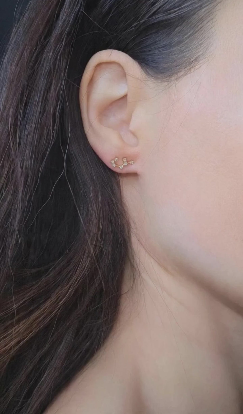 Zodiac constellation earrings crafted from 925 sterling silver with 14K gold plating.