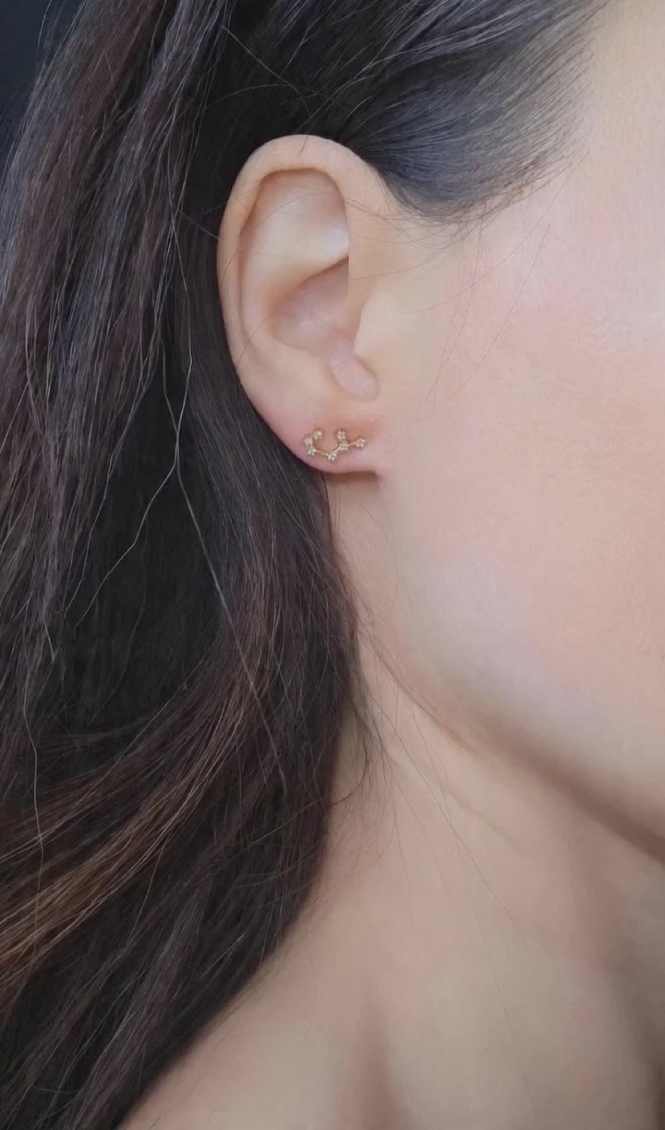 Zodiac constellation earrings crafted from 925 sterling silver with 14K gold plating.